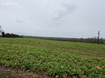 Mantlehill, Golden, Golden, Co. Tipperary - Image 2