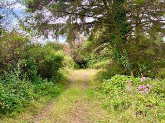 Knocknaglogh, Dungarvan, Co. Waterford, Cappoquin, Co. Waterford - Image 3