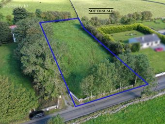 C.0.75 Acres, Carrownalassan, Four Mile House, Co. Roscommon, Four Mile House, Co. Roscommon - Image 4