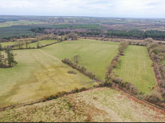 Aghagad, Castlecoote, Co. Roscommon - Image 2