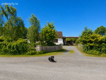 Cloonagh Beg, Clonaslee, Co. Laois - Image 2