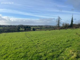 Ballymorris, Cratloe, Co. Clare - Image 3