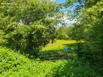 Rathmore, Carbury, Kildare, Carbury, Co. Kildare