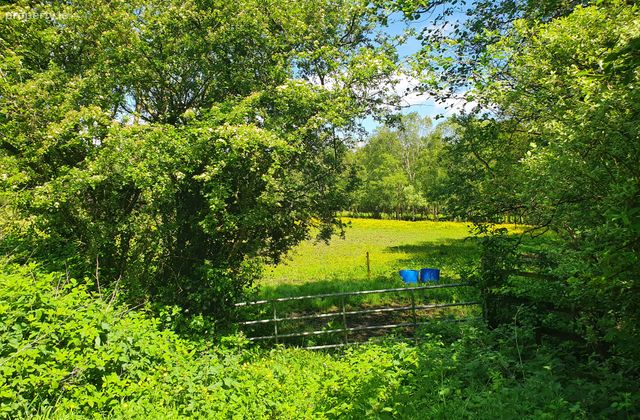 Rathmore, Carbury, Kildare, Carbury, Co. Kildare - Click to view photos