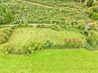 Boherboy, Mullinahone, Co. Tipperary, Mullinahone, Co. Tipperary - Image 4