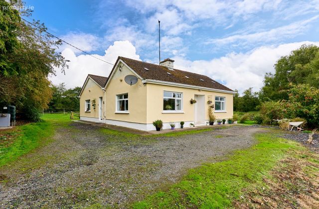 Ticknevin, Carbury, Carbury, Co. Kildare - Click to view photos