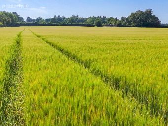 Whole: Lands &amp; Cottage, Lisnavagh, Rathvilly, Co. Carlow, Rathvilly, Co. Carlow - Image 4