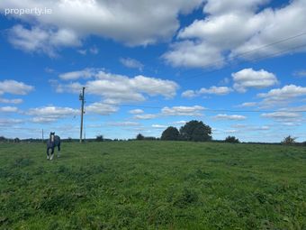 Cloonsuck, Castlerea, Co. Roscommon - Image 4