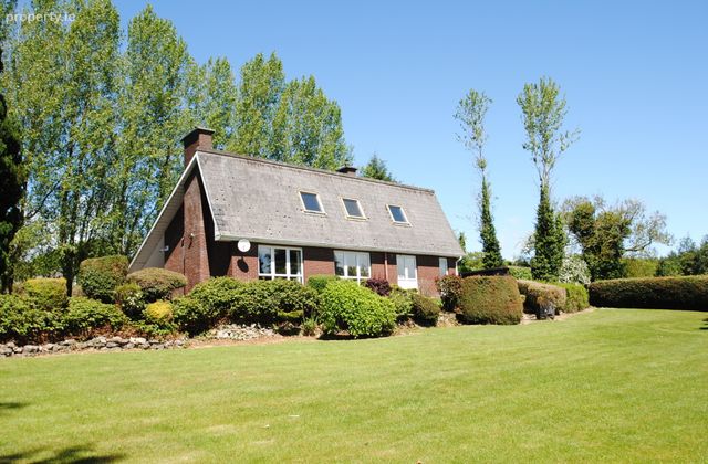 Carraigaun, Ballaghmore, Roscrea, Co Tipperary, Borris-in-Ossory, Co. Laois - Click to view photos