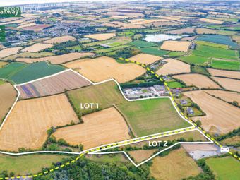 Derelict Residence On Approx. 50.9 Acres, Folkstown Lane, Balbriggan, Co. Dublin, Balrothery, Co. Dublin - Image 2