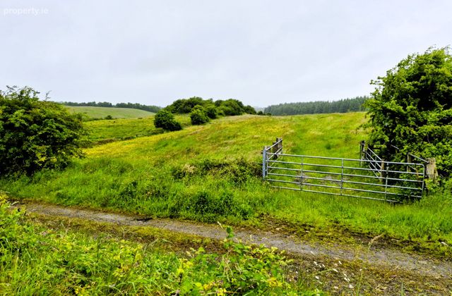 Liscottle, Swinford, Co. Mayo - Click to view photos