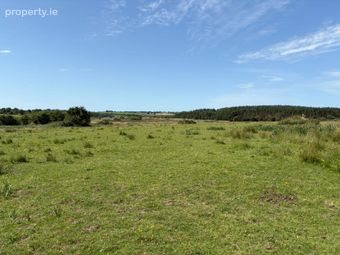 Cloonelly, Strokestown, Co. Roscommon - Image 5