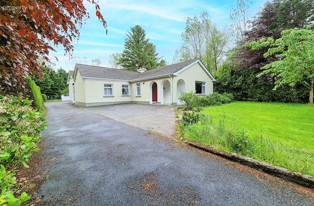 Russ Lara, Cloonkeen, Castlebar, Co. Mayo, Cloonkeen, Co. Mayo - Click to view photos