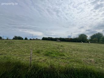 Earlspark, Ballinasloe, Ballydangan, Co. Roscommon - Image 4
