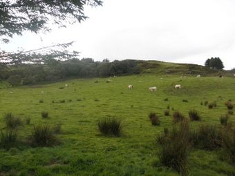 Kildarragh, Dunfanaghy, Co. Donegal - Image 3