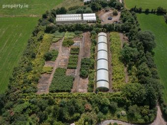 Stams Bamboo Nursery Ltd., Ballinwillin, Lismore, Co. Waterford