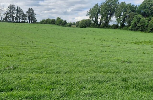 Pollatlugga, Cappataggle, Ballinasloe, Co. Galway, Rooaun, Co. Galway - Click to view photos