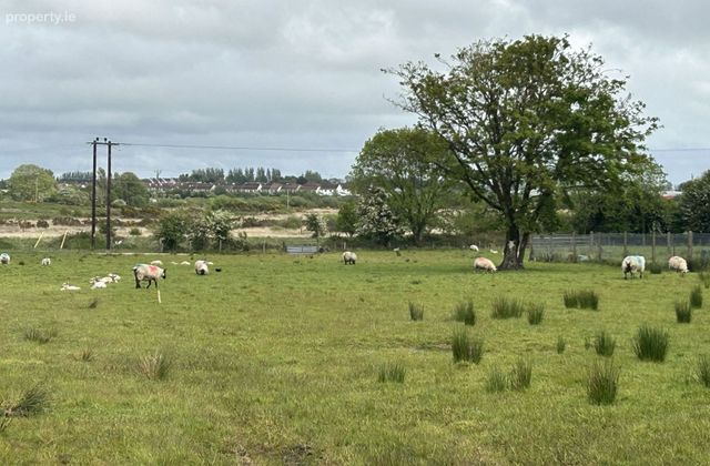 Cloonfush, Tuam, Co. Galway - Click to view photos