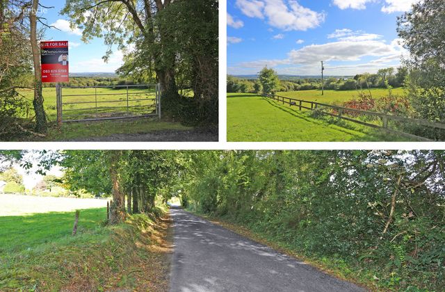 Clonfadda, Killaloe, Co. Clare - Click to view photos