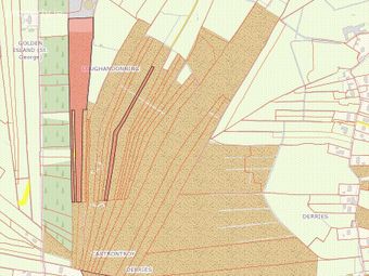 Agricultural Land, Loughandonning, Golden Island, Athlone, Athlone, Co. Westmeath - Image 3