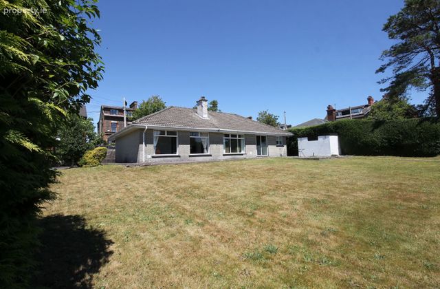 Sundew, Bellevue Park, St. Lukes, Co. Cork - Click to view photos