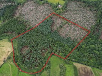 Aghavilla, Carrigallen, Co. Leitrim, Carrigallen, Co. Leitrim - Image 3