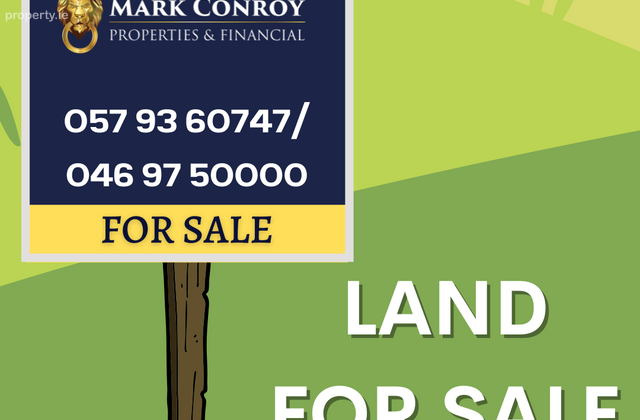 Clonin Lane, Rhode, Co. Offaly - Click to view photos