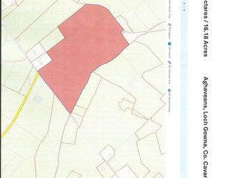 16 Acres, Lough Gowna, Co. Cavan - Image 2