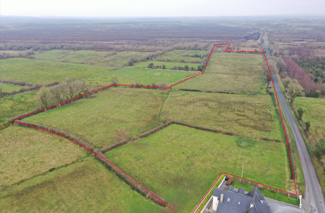 Granaghan Dillon, Curraghroe, Co. Roscommon - Click to view photos