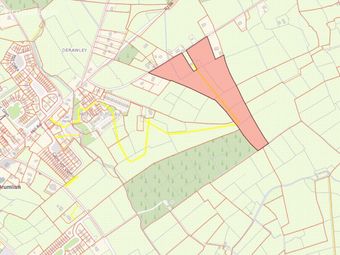 Lands At Derawley, Drumlish, Co. Longford - Image 2