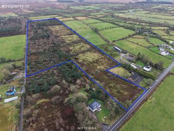 C. 20.88 Acres, Foughil, Trien, Castlerea, Co. Roscommon, Trien, Co. Roscommon - Image 2