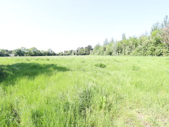 Calfstown, Carbury, Co. Kildare, Carbury, Co. Kildare - Image 3