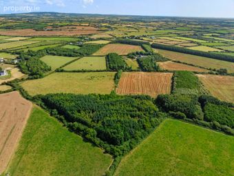 C. 8.78 Hectares (21.70 Acres) At Nicharee, Duncormick, Co. Wexford - Image 5