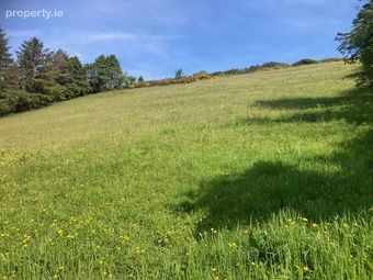 Tylagh Kielduff, Tralee, Co. Kerry - Image 5