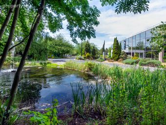 Unit 8, Swords Business Campus, Balheary Road, Swords, Co. Dublin, Swords, Co. Dublin - Image 3