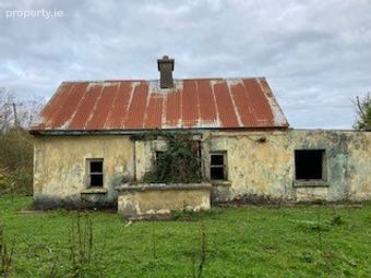 Dromsallagh, Cappamore, Co. Limerick