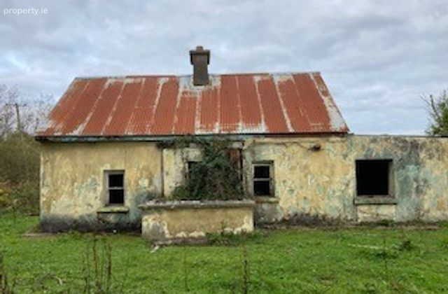 Dromsallagh, Cappamore, Co. Limerick - Click to view photos