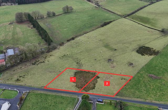 Woodlawn, Ballinasloe, Co. Galway - Click to view photos
