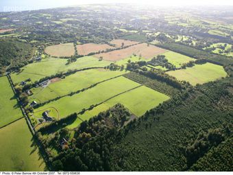 Kindlestown Road Upper, Bellevue, Delgany, Co. Wicklow - Image 3