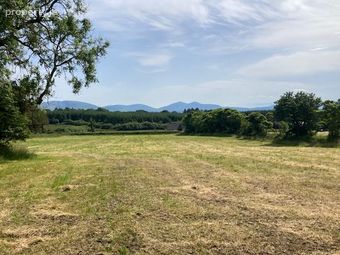 Residential Farm, Doon, Knocknagree, Co. Cork - Image 4