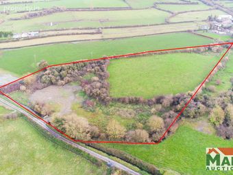 Jesuits Walk, Garrinch, Fethard, Co. Tipperary - Image 2