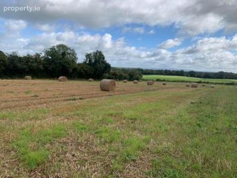 Ballycapplewood, Bantis, Cloughjordan, Nenagh, Co. Tipperary, The Pike, Co. Tipperary - Image 5