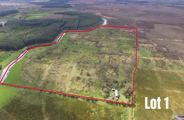 Sheevanna, Frenchpark, Co. Roscommon - Click to view photos
