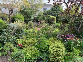 34 Arconagh, Newbridge Road, Naas, Co. Kildare - Image 2