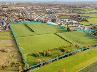 Approx. 33.5 Acres At Chapelstown, Chapelstown, Carlow, Chapelstown, Carlow Town, Co. Carlow - Image 2