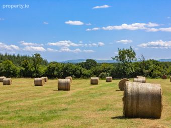 Lot 1 - Land At Newtown, Bonnettstown, Co. Kilkenny, Tullaroan, Co. Kilkenny - Image 3