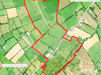 Lands Drumcomoge, Emly, Tipperary, Emly, Co. Tipperary