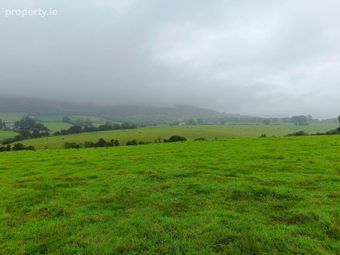Ballinacourty, Kilfinane, Co. Limerick, Kilfinane, Co. Limerick - Image 5
