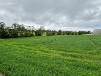 Bough, Rathvilly, Co. Carlow, Rathvilly, Co. Carlow - Image 3