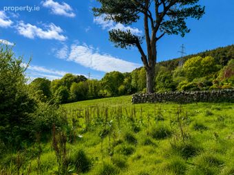 C.2 Acre Of Land At Glen Of The Downs, Delgany, Co. Wicklow - Image 3